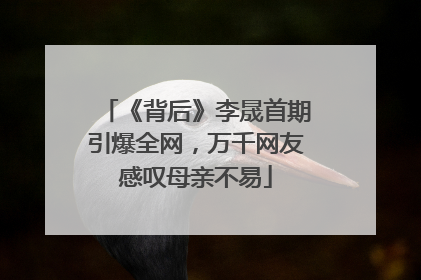 《背后》李晟首期引爆全网，万千网友感叹母亲不易