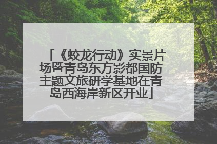 《蛟龙行动》实景片场暨青岛东方影都国防主题文旅研学基地在青岛西海岸新区开业