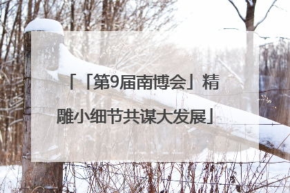 「第9届南博会」精雕小细节共谋大发展