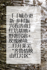 「城市更新 乡村振兴看济南」红培基地+野奢民宿+玫瑰秘境……打开莱芜“齐鲁情映山红片区”的破圈秘籍