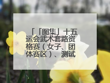 「图集」十五运会武术套路资格赛（女子、团体赛区）、测试赛在南沙开赛