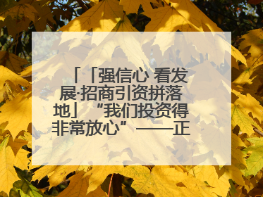 「强信心 看发展·招商引资拼落地」“我们投资得非常放心”——正宁县中钠储能新能源项目建设见闻