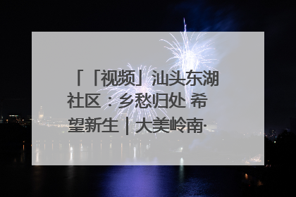 「视频」汕头东湖社区：乡愁归处 希望新生｜大美岭南·百村焕新记