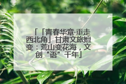 「青春华章·重走西北角」甘肃文旅嬗变：荒山变花海，文创“语”千年