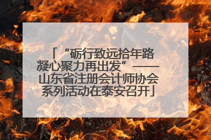 “砺行致远拾年路 凝心聚力再出发”——山东省注册会计师协会系列活动在泰安召开