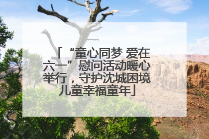 “童心同梦 爱在六一”慰问活动暖心举行，守护沈城困境儿童幸福童年
