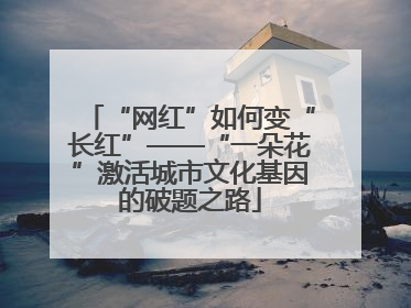 “网红”如何变“长红”——“一朵花”激活城市文化基因的破题之路