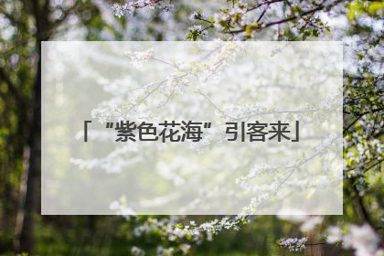 “紫色花海”引客来