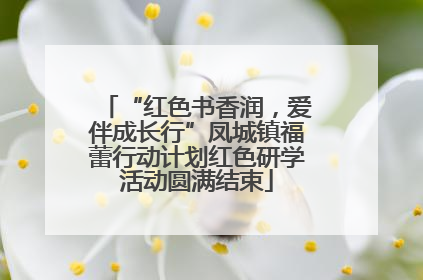 “红色书香润，爱伴成长行”凤城镇福蕾行动计划红色研学活动圆满结束