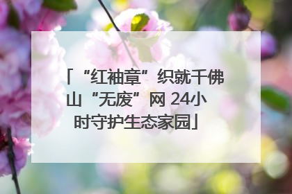 “红袖章”织就千佛山“无废”网 24小时守护生态家园