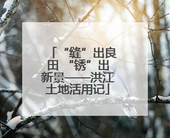 “缝”出良田 “锈”出新景——洪江土地活用记