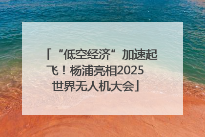 “低空经济”加速起飞！杨浦亮相2025世界无人机大会