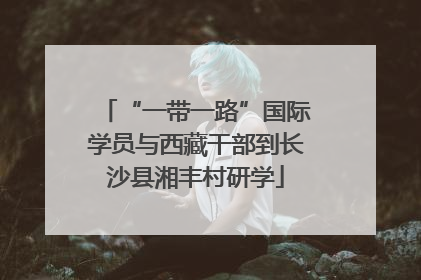 “一带一路”国际学员与西藏干部到长沙县湘丰村研学
