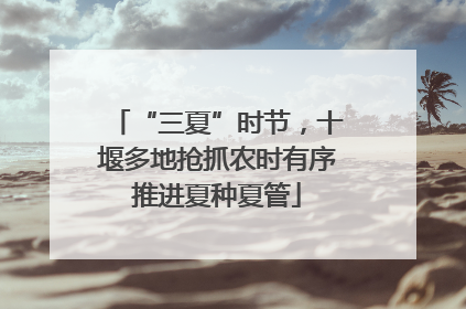 “三夏”时节，十堰多地抢抓农时有序推进夏种夏管