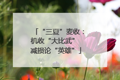 “三夏”麦收：机收“大比武” 减损论“英雄”