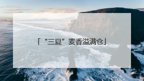 “三夏”麦香溢满仓