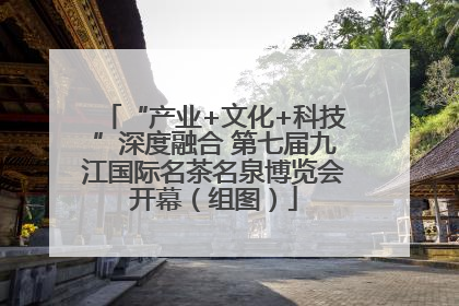 “产业+文化+科技”深度融合 第七届九江国际名茶名泉博览会开幕（组图）
