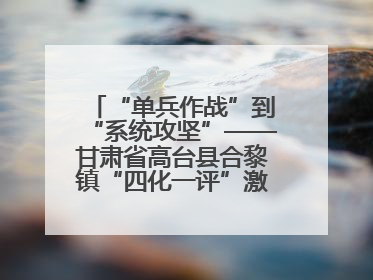 “单兵作战”到“系统攻坚”——甘肃省高台县合黎镇“四化一评”激活农村党员管理新引擎