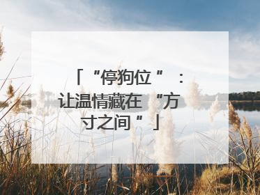 “停狗位 ”：让温情藏在 “方寸之间 ”