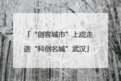 “创客城市”上虞走进“科创名城”武汉
