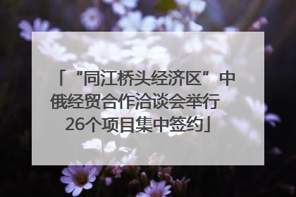 “同江桥头经济区”中俄经贸合作洽谈会举行 26个项目集中签约