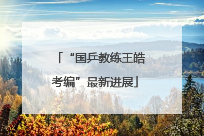 “国乒教练王皓考编”最新进展