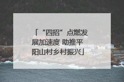 “四招”点燃发展加速度 助推平阳山村乡村振兴