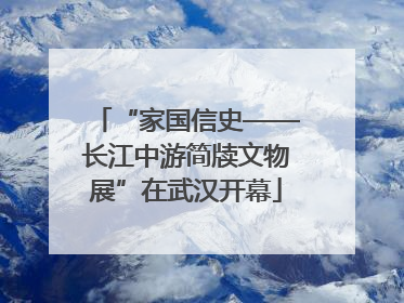 “家国信史——长江中游简牍文物展”在武汉开幕