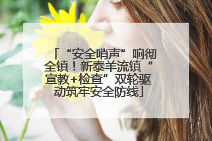 “安全哨声”响彻全镇！新泰羊流镇“宣教+检查”双轮驱动筑牢安全防线