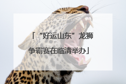 “好运山东”龙狮争霸赛在临清举办