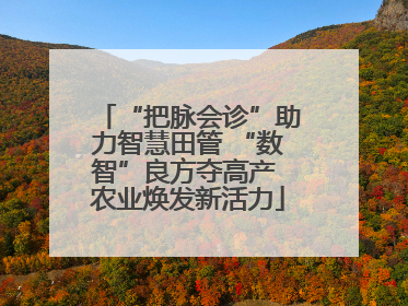 “把脉会诊”助力智慧田管 “数智”良方夺高产 农业焕发新活力