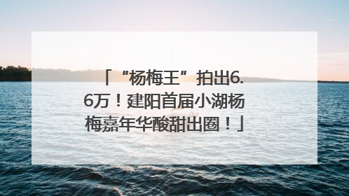“杨梅王”拍出6.6万！建阳首届小湖杨梅嘉年华酸甜出圈！