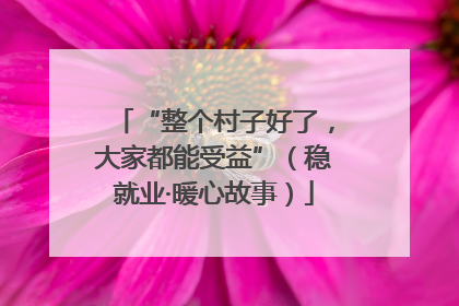 “整个村子好了，大家都能受益”（稳就业·暖心故事）