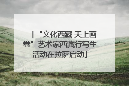 “文化西藏 天上画卷”艺术家西藏行写生活动在拉萨启动