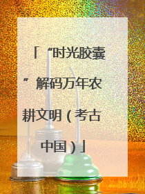 “时光胶囊”解码万年农耕文明（考古中国）