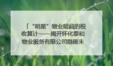 “明星”物业暗藏的税收算计——揭开怀化泰和物业服务有限公司隐匿未开票收入偷税真相