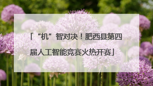 “机”智对决！肥西县第四届人工智能竞赛火热开赛