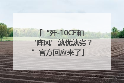 “歼-10CE和‘阵风’孰优孰劣？”官方回应来了