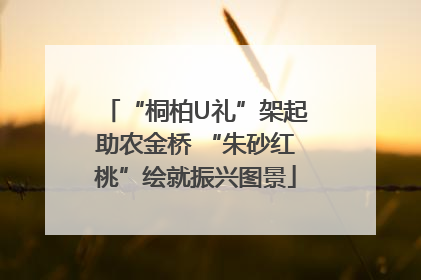 “桐柏U礼”架起助农金桥 “朱砂红桃”绘就振兴图景