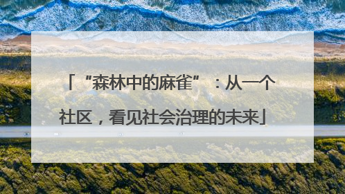 “森林中的麻雀”：从一个社区，看见社会治理的未来