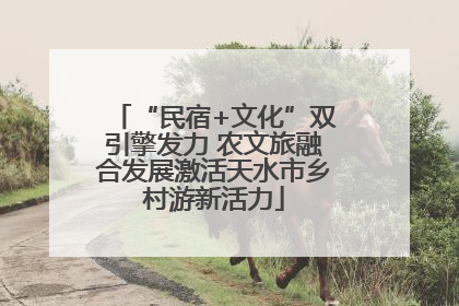 “民宿+文化”双引擎发力 农文旅融合发展激活天水市乡村游新活力