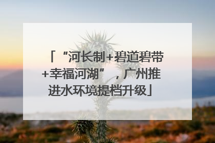 “河长制+碧道碧带+幸福河湖”，广州推进水环境提档升级