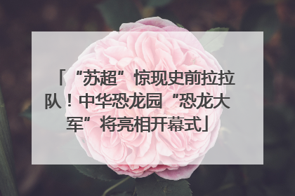 “苏超”惊现史前拉拉队！中华恐龙园“恐龙大军”将亮相开幕式