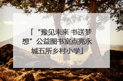 “豫见未来 书送梦想”公益图书室点亮永城五所乡村小学