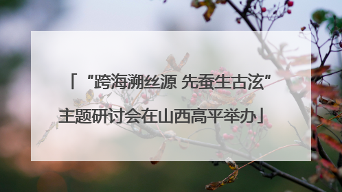 “跨海溯丝源 先蚕生古泫”主题研讨会在山西高平举办