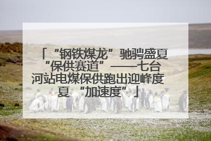 “钢铁煤龙”驰骋盛夏 “保供赛道”——七台河站电煤保供跑出迎峰度夏 “加速度”