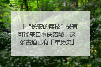 “长安的荔枝”最有可能来自重庆涪陵，这条古道已有千年历史