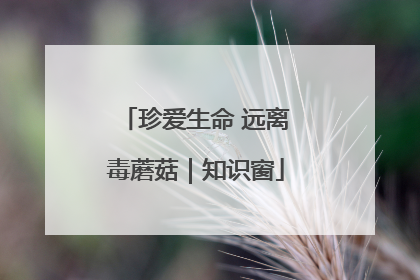 珍爱生命 远离毒蘑菇｜知识窗