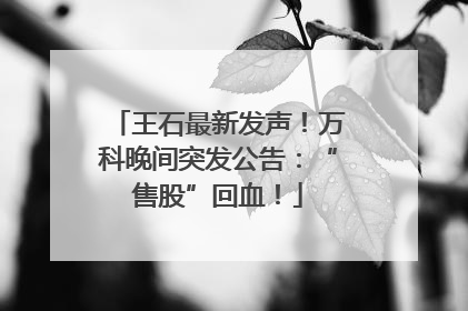 王石最新发声！万科晚间突发公告：“售股”回血！