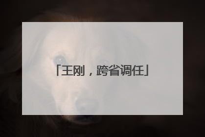 王刚，跨省调任